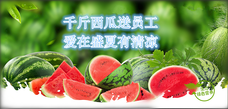 通達軟件公司： 千斤西瓜送員工，愛在盛夏有清涼